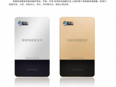 霖鼎家用壁掛式電磁電鍋爐