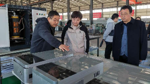 政府副縣長馬征一行到霖鼎公司調研指導