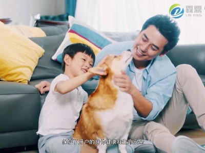 200平米采暖需要多大功率的電鍋爐