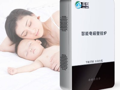 農(nóng)村電鍋爐會像家用電器一樣普及！