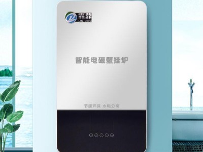 關于電鍋爐，對比之后你就知道該選那一種。