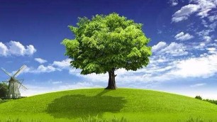 我國北方地區43個清潔供暖城市名單及補貼資金安排