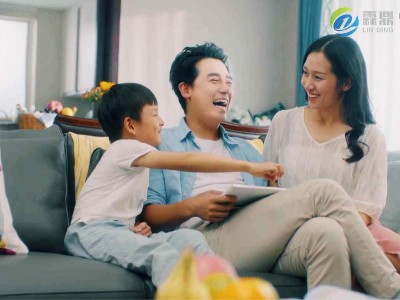 家用電磁壁掛爐：溫馨小家的溫暖守護者