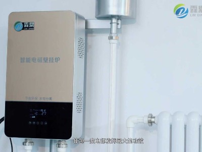 電磁壁掛爐是北方地區居民家庭冬季供暖的主要設備